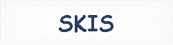 Zone de Texte: SKIS